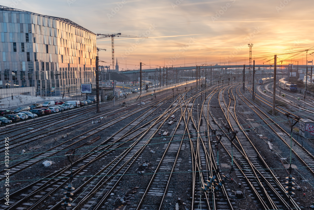 Naklejka premium Rails