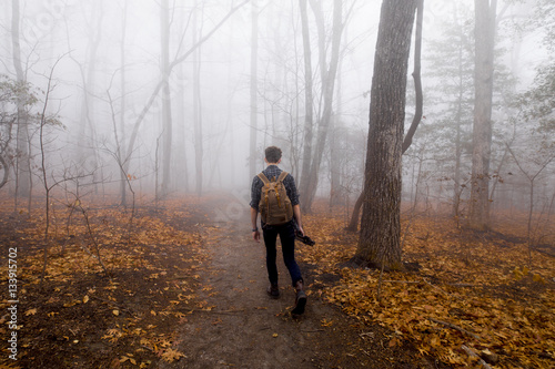 Man hiking alone in foggy forest © Wollwerth Imagery