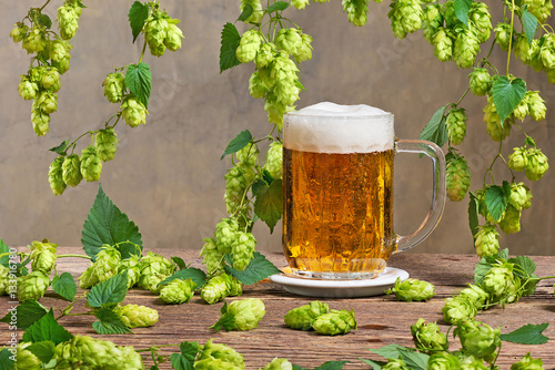 still life with hop cones and glass of beer