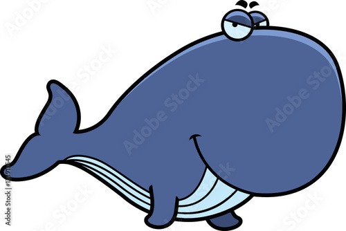 Sly Cartoon Whale