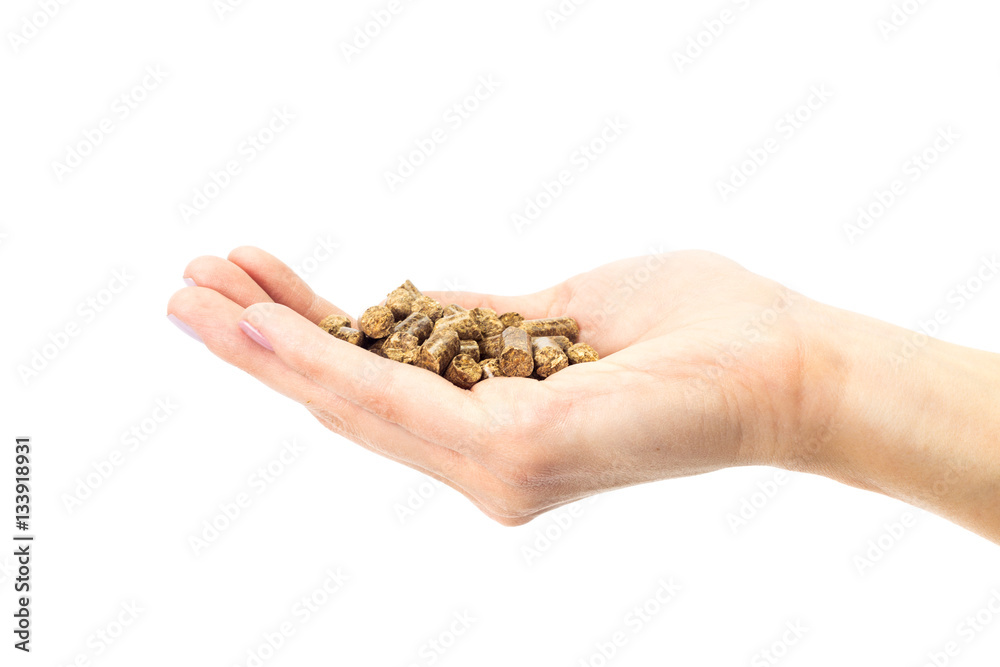 Human hand holding solid wooden pellets