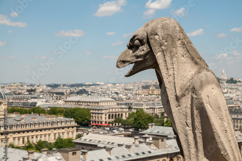 Element of Notre Dame de Paris © Eugene Kalenkovich