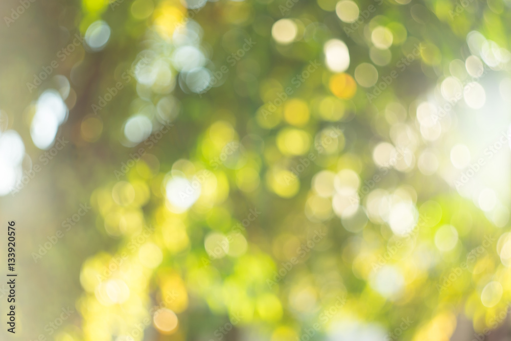 Abstract green blurry bokeh background - The small bokeh forest Abstract green blurry bokeh background - The small bokeh forest