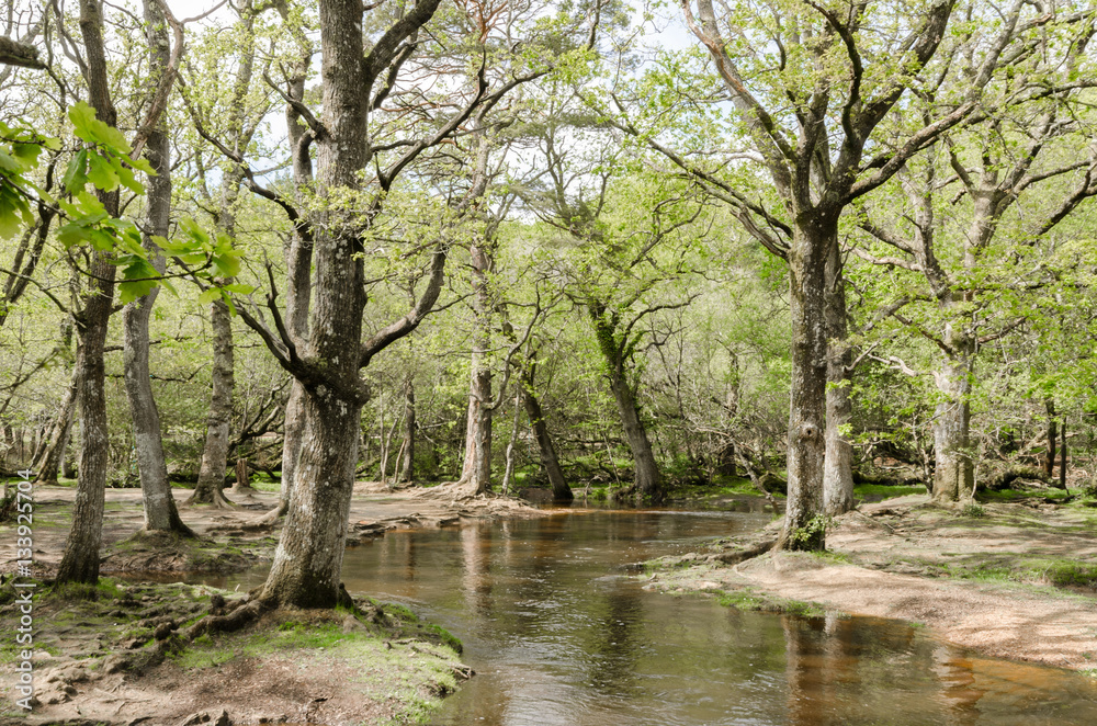 Puttles Bridge 2