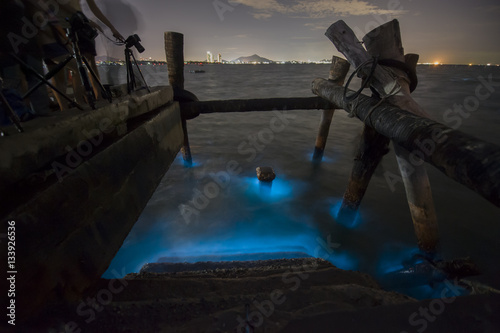 Marine Plankton glow in the dark in Thailand, bioluminescence