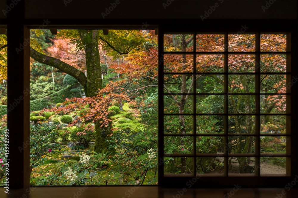 Japanese garden with autumn maple tree Japanese garden with autumn maple tree