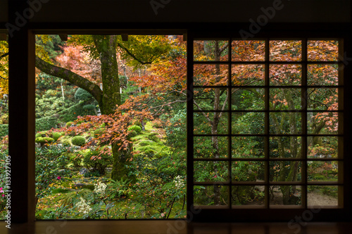 Japanese garden with autumn maple tree