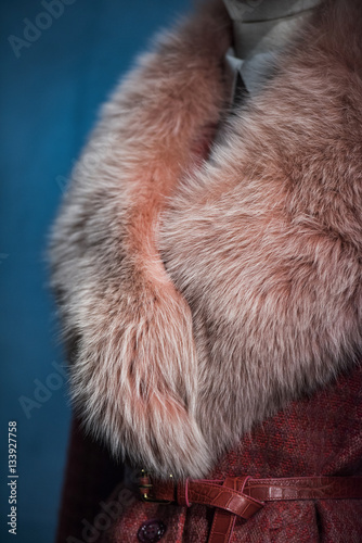Fur detail