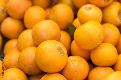 Fresh round kumquats  marumi kumquat  after harvesting