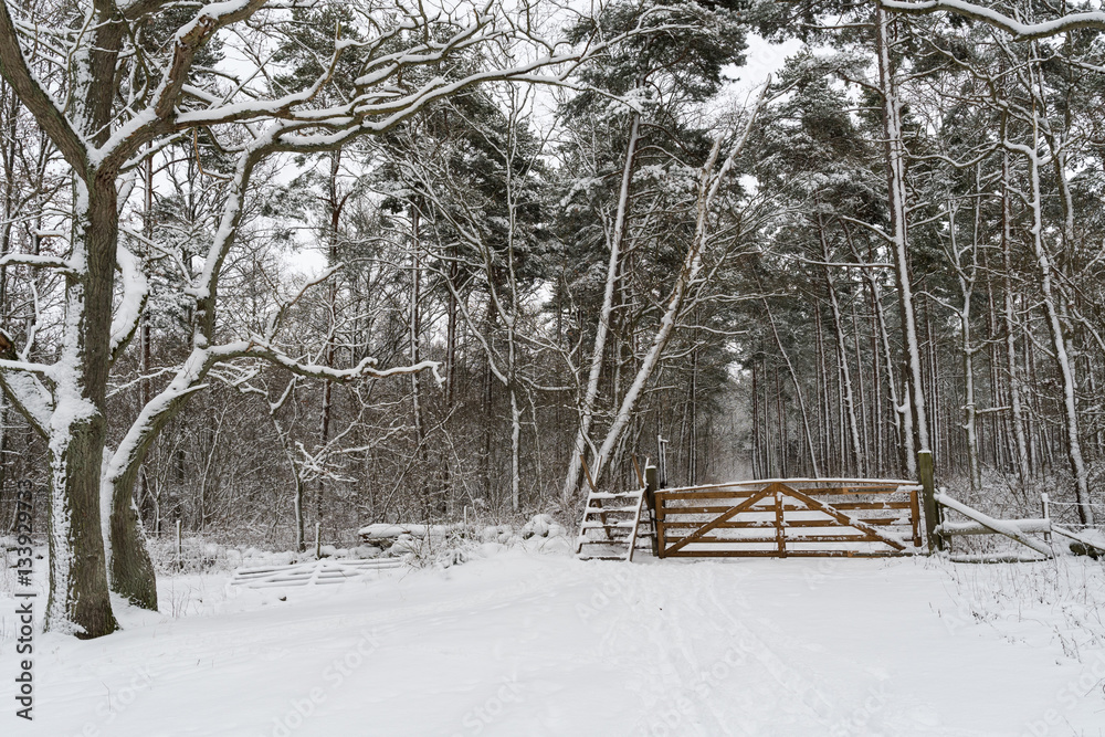 Stile with a wooden gate in a snowy forest