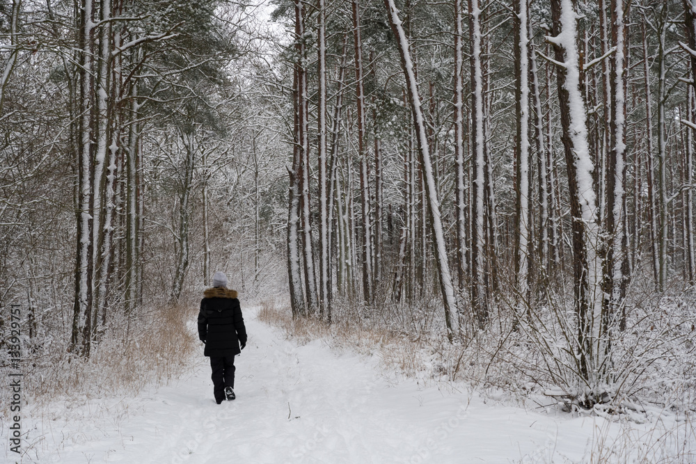 Person walking in a snowy forest Person walking in a snowy forest