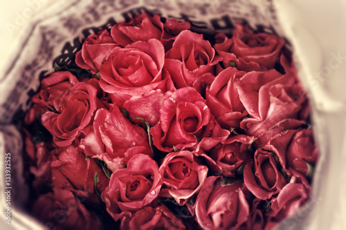 Roses flower background for Valentine s day.