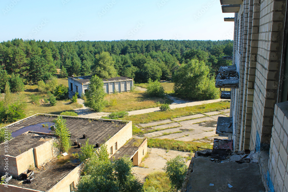Fototapeta premium Aerial view on the pine forest