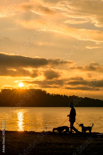 silhouette of a man and 2 dogs walking on a gorgeous sunset at t