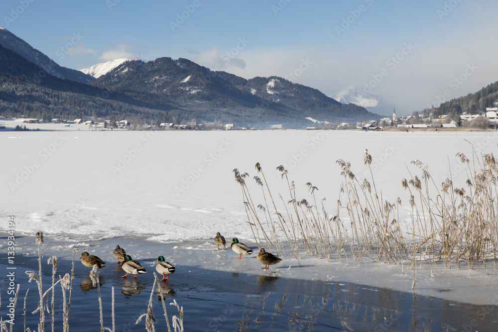 Panorama Winter am Weissensee in Kärnten, Österreich
