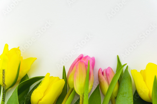 Tulips Group on White