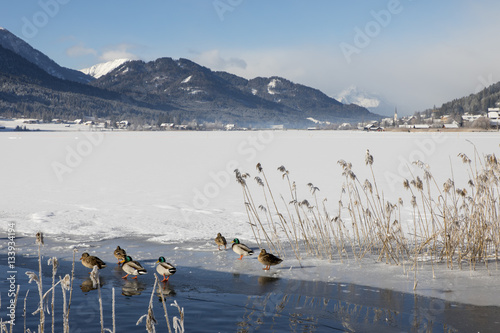 Obraz na płótnie Panorama Winter am Weissensee in Kärnten, Österreich w salonie