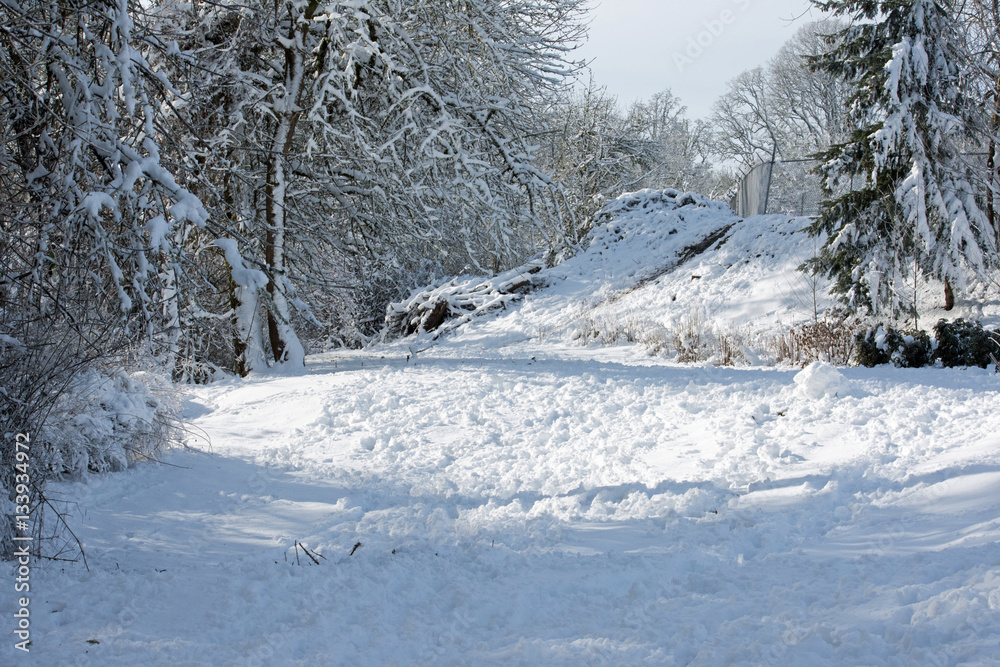 Fototapeta premium snow park