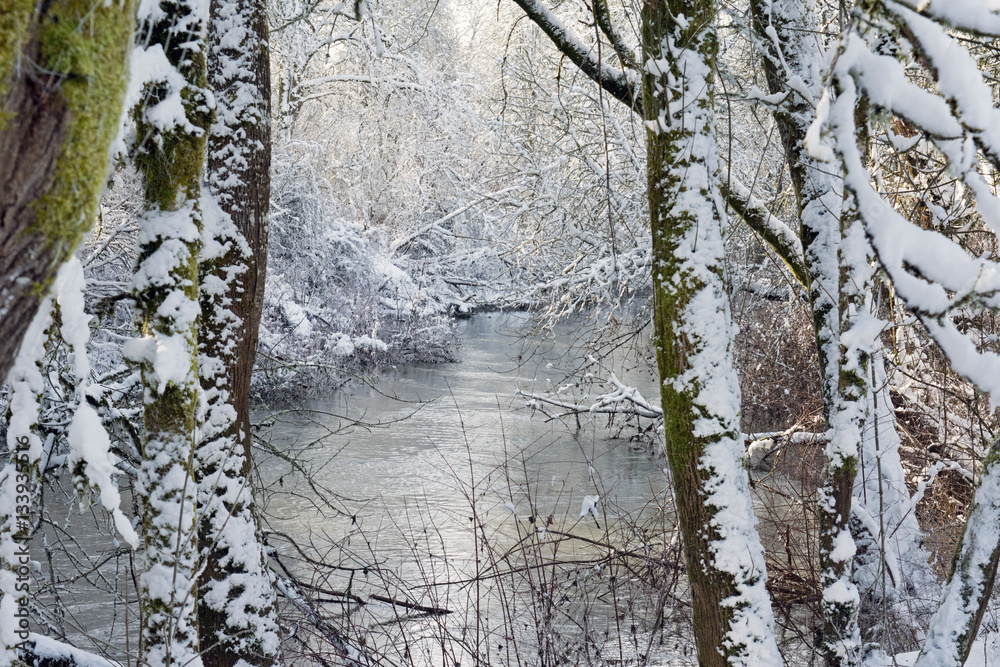 Fototapeta premium snowy river