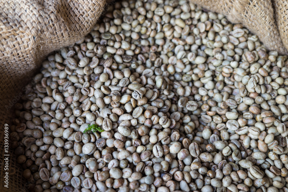 Raw coffee beans in sack Raw coffee beans in sack