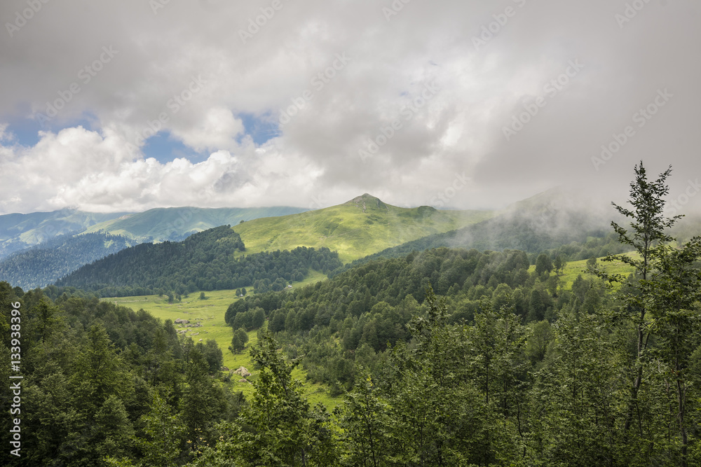 mountainside with bushes covered with clouds