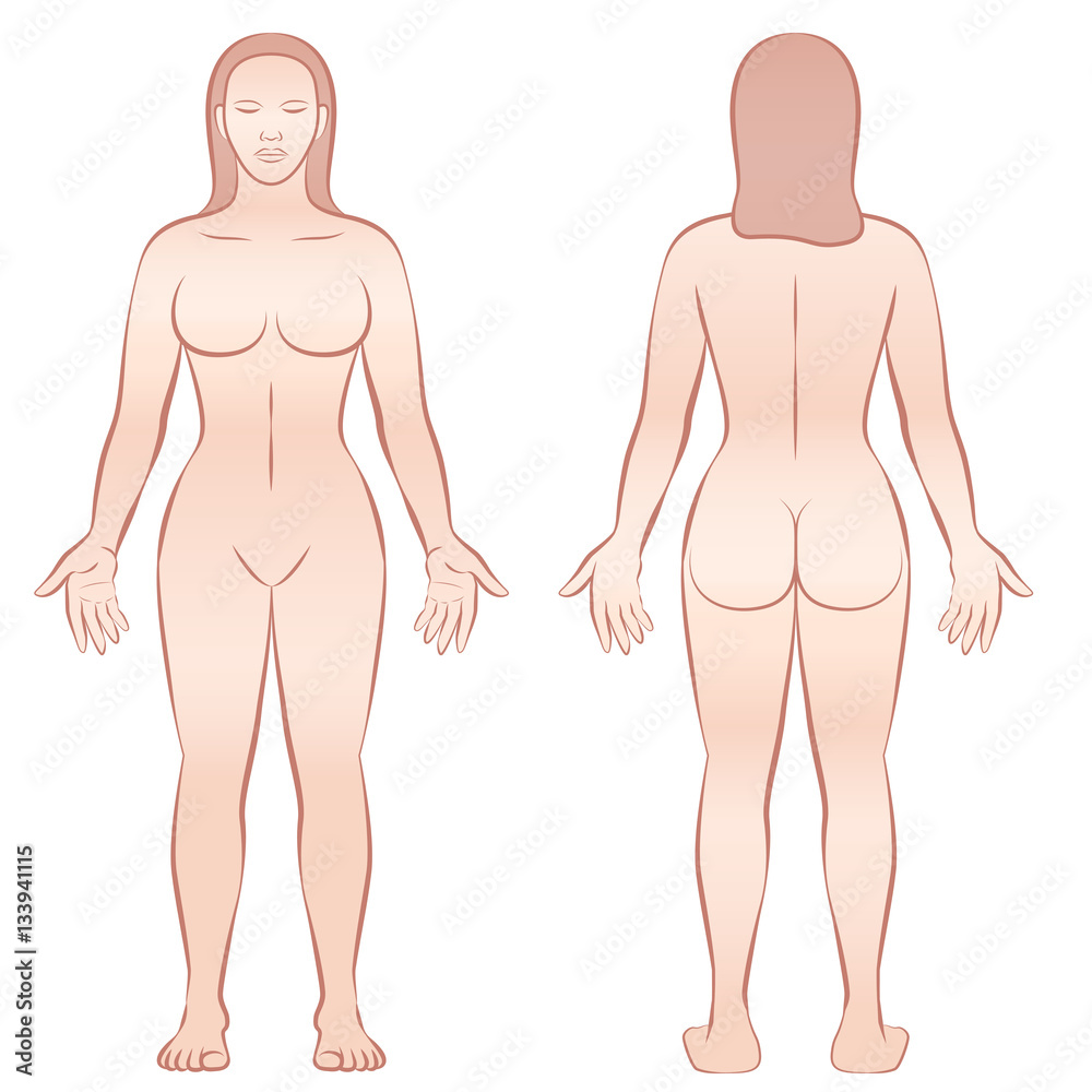 Как выглядит голое тело женщины Female body - front view and back view. Векторный объект Stock Adobe Stock