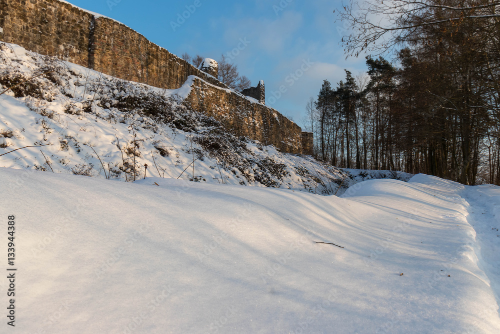 Wintertag auf der Burgruine Runding 1