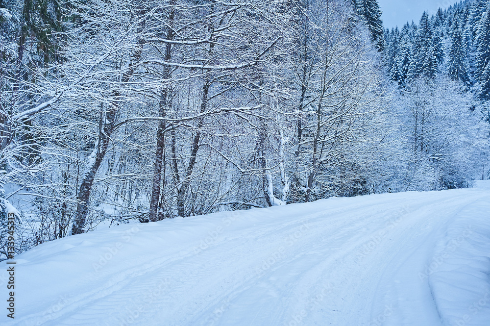 Winter road after the snowfall