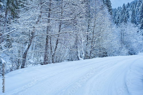 Obraz na płótnie Winter road after the snowfall w salonie