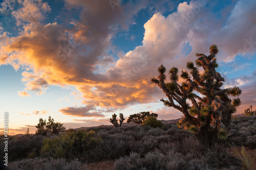 Sunset at Lovell Canyon Road between Las Vegas and Pahrump, Neva