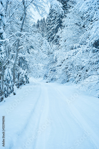 Winter road after the snowfall © vdovychenkodenys