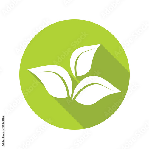green leaves isolated on white background, organic icon. Vector.