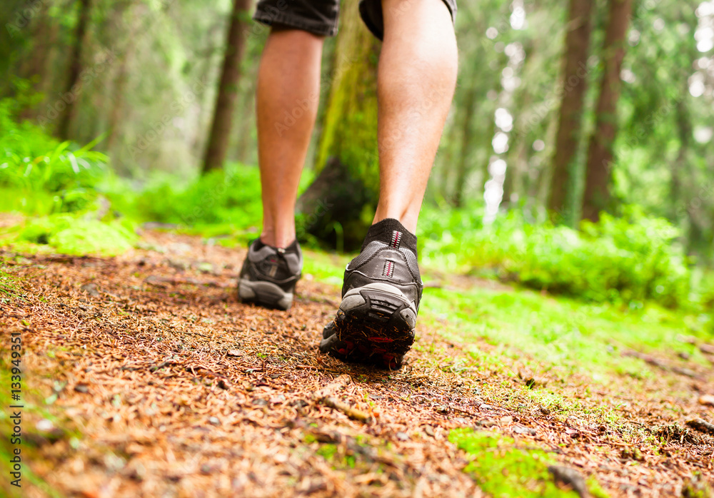 Closeup of man walking through a forest. Closeup of man walking through a forest.