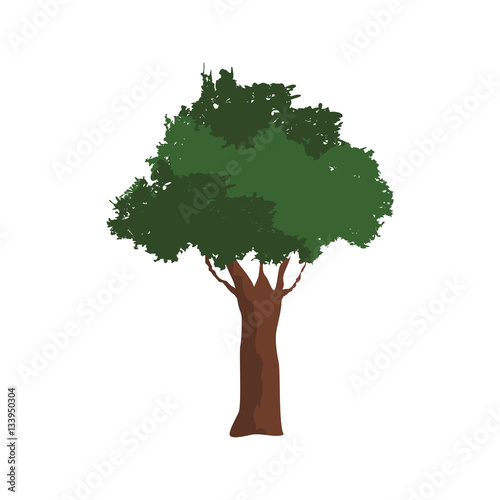 green tree icon over white background. colorful design. vector illustration