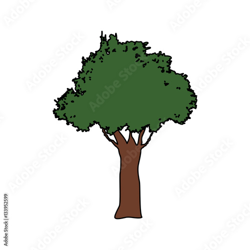 green tree icon over white background. colorful design. vector illustration