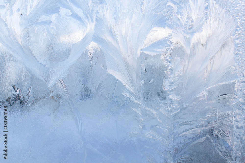 Obraz premium Frosty pattern dof