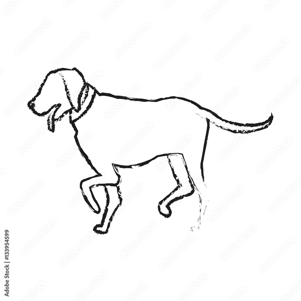 dog cartoon icon over white background. vector illustration