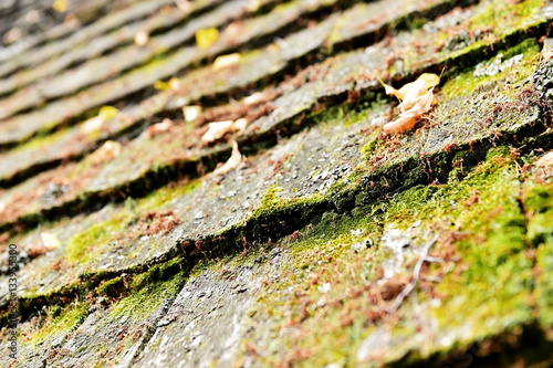 Weathered wooden roof tiles