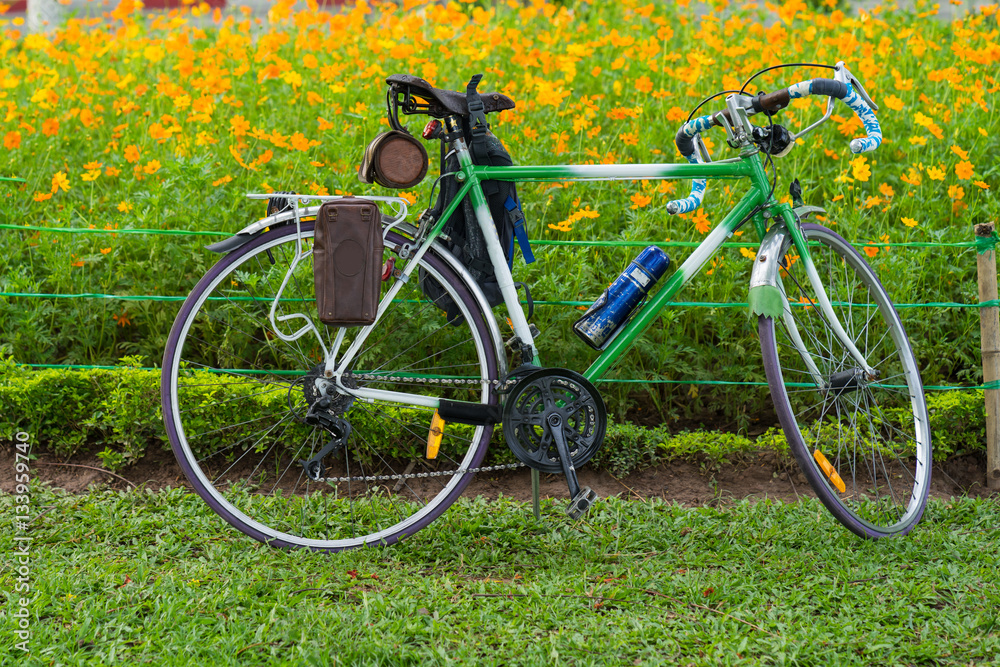 Road bike on grass with yellow daisy flowers on background in park