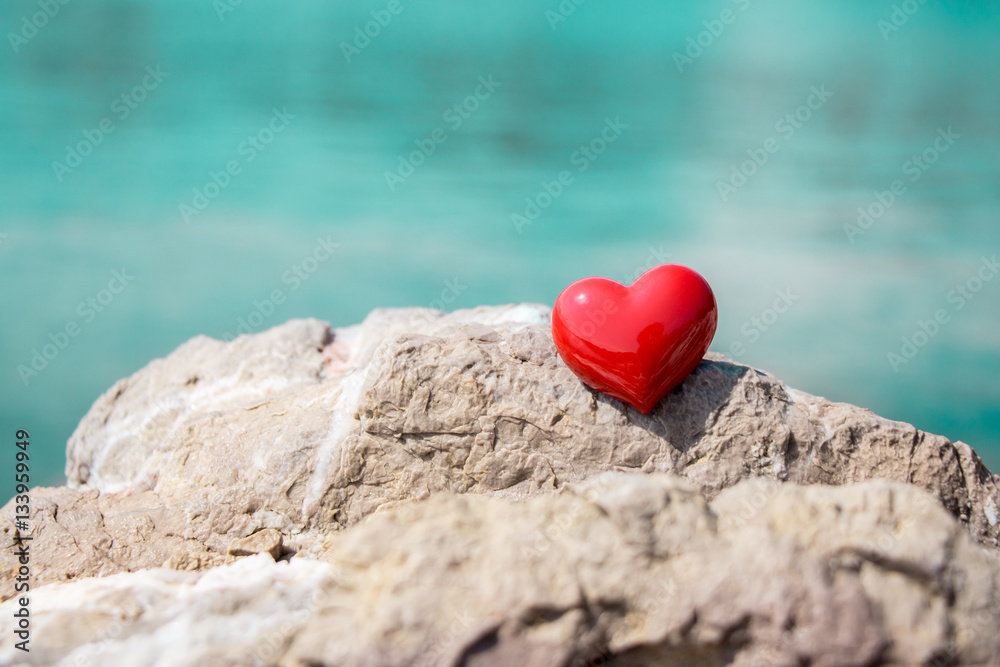 Fototapeta premium Sea lovers background concept.