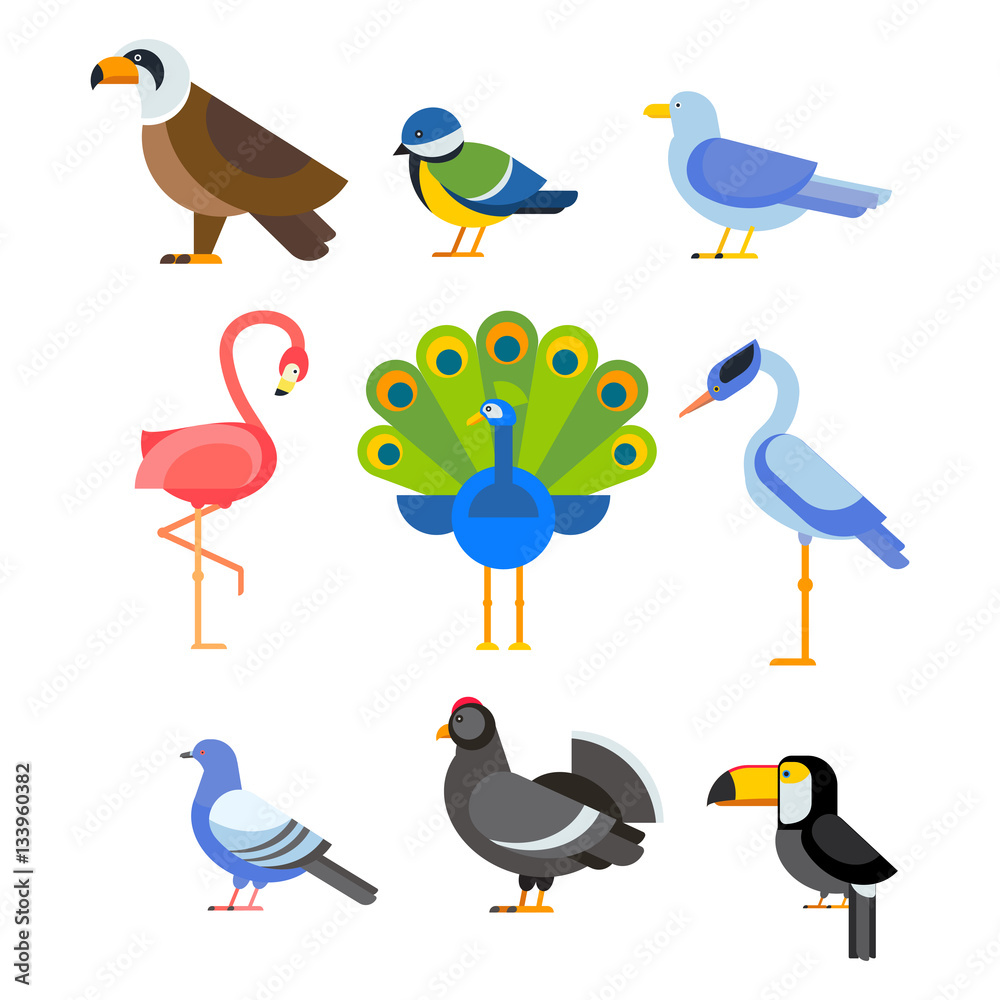 Fototapeta premium Birds vector set illustration isolated