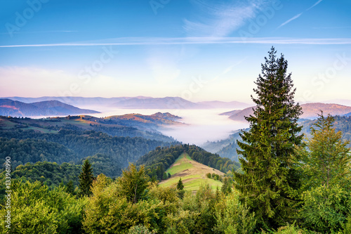 Mountain landscape at sunrise. Carpathian Mountains, Mizhhiria,