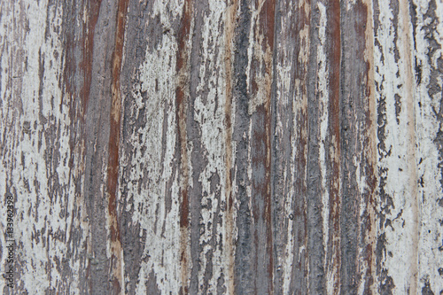 Old wood texture