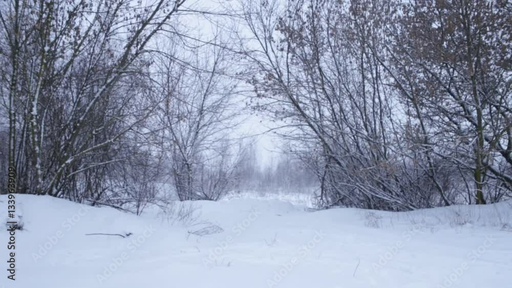 Winter landscape with snowing