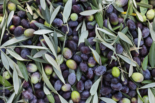 Full frame shot of fresh olives