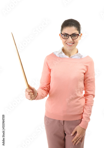 Young teacher with pointer ...