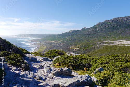 Coastline at Cape of good hope in South Africa