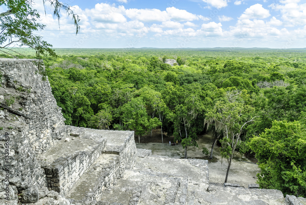 sight of the thickness, of the treetops and of other pyramids in the reservation of the biosphere, national park and archaeological place of Calakmul, Quintana Roo, Mexico