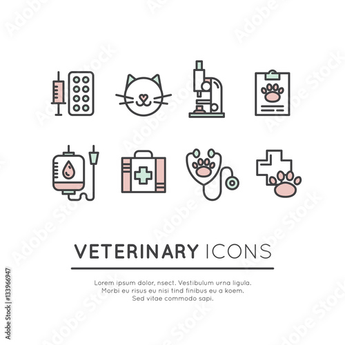 Vector Icon Style Illustration Set of Pet Veterinary Clinic Shop or Centre