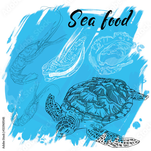 Hand drawn vector illustration, design for a seafood restaurant menu. The picture shows the lobster, turtle and oysters on a blue background.